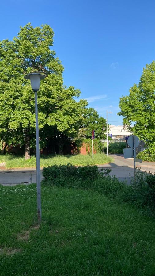Ferienwohnung -Isola Madre Biebesheim am Rhein Exterior foto